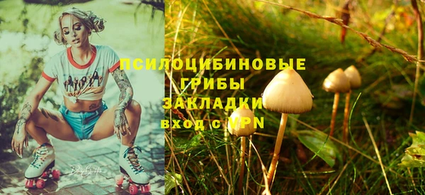 mdpv Арсеньев