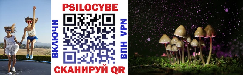 Галлюциногенные грибы Psilocybine cubensis Богданович
