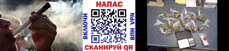 Шишки марихуана план дарнет шоп Богданович